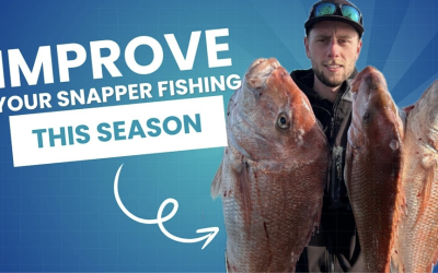 5 Essential snapper fishing tips