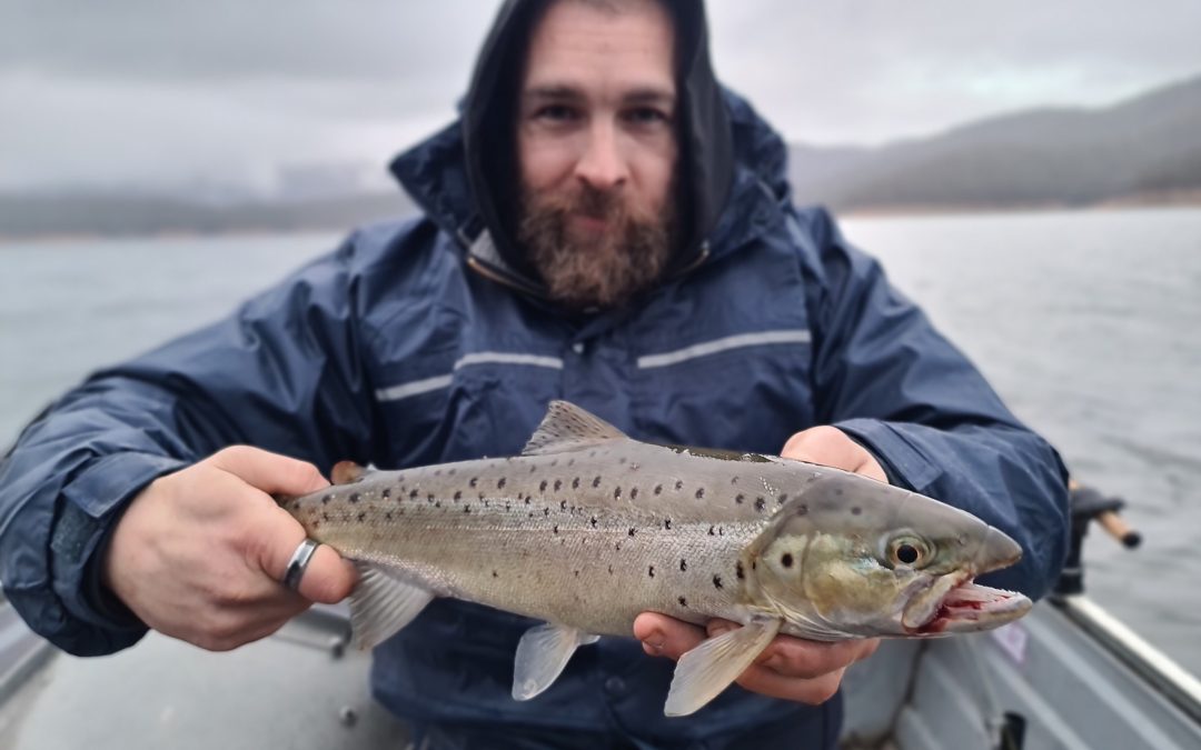 VIC  July 2025  Lake Eildon Trout Trolling!