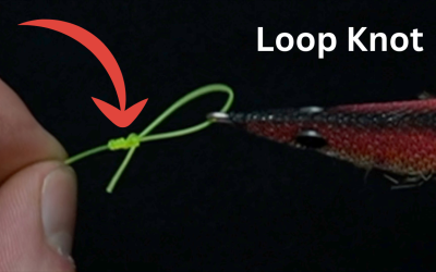 LOOP KNOT BASIC