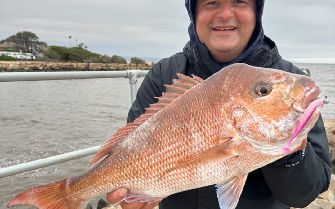 VIC 2025  Patterson River mouth!