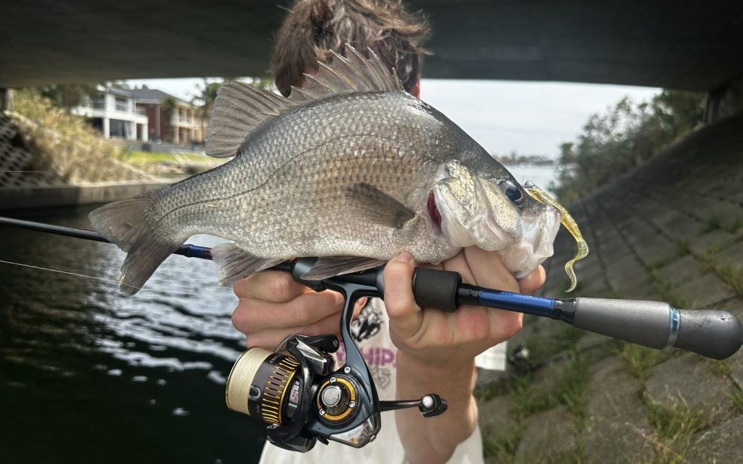 VIC 2025  Patterson River!