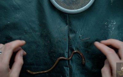 How to bait worms correctly